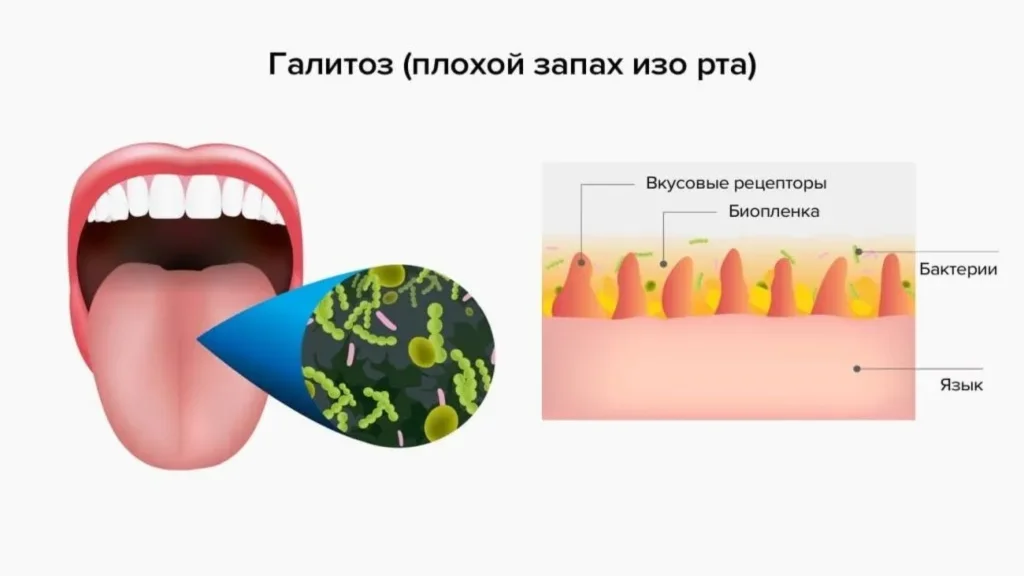 критике - мислења - форум - коментари - резултати - осврти